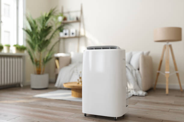 Best Ductless Mini-Split Systems in Olympia, WA